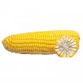 ГСС3071 F1 насіння кукурудзи суперсолодкої Sh2 (Syngenta)