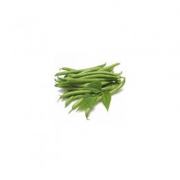 Ява зелене насіння квасолі спаржевої (GL Seeds)