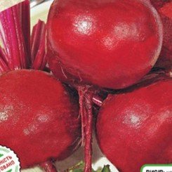 Кадет семян свеклы столовой (Satimex СДБ)