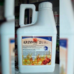 Казумин 2Л фунгицид (Саммит Агро Юкрейн)