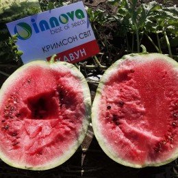 Кримсон Світ насіння кавуна середнього (Innova Seeds)