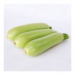 КС 1241 F1 семена кабачка (Kitano Seeds)