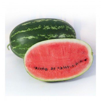 КС 632 F1 (KS 632 F1) семена арбуза раннего (Kitano Seeds)
