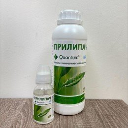 Квантум прилипач (Квантум)