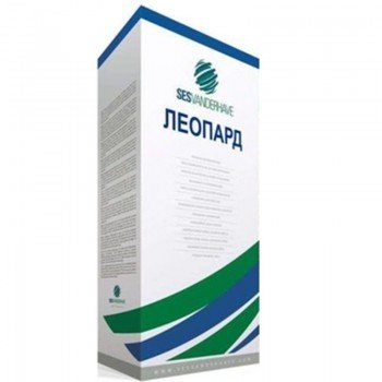Леопард насіння цукрових буряків (SESvanderhave)