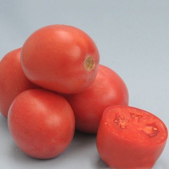 Камелот (LS 1264) F1 семена помидора детерминантного (Lucky Seed)