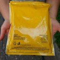 Лумінокс F1 насіння кукурудзи суперсолодкої Sh2 (Semo)
