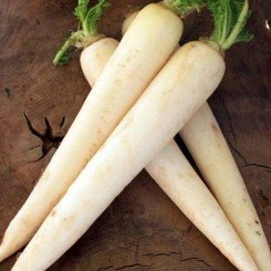 Міно Ерлі Лон Вайт насіння редьки (Takii Seed)