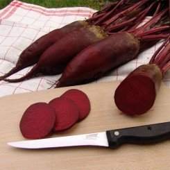 Монорубра семян свеклы столовой (Moravoseed)