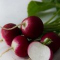 Ніколь (10,4 стандарт плюс) насіння редису (Lucky Seed)