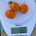 Оранж Олів F1 насіння помідора чері детермінантного (Lark Seeds)