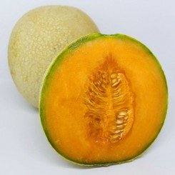 PL 9100 F1 насіння дині (Ergon Seeds)