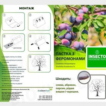 Плодожорка сливовая феромонная ловушка (БИОхимтех)