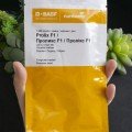 Пролікс F1 насіння огірка корнішону партенокарп. раннього 40-42 дн. 10-12 см (Nunhems)
