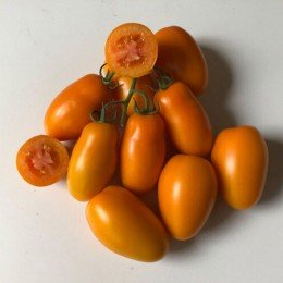 Ремембе F1 насіння помідора індетермінантного (Lark Seeds)