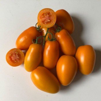 Ремембе F1 семена помидора индетерминантного (Lark Seeds)
