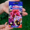 Рококо F1 насіння віоли (GL Seeds)