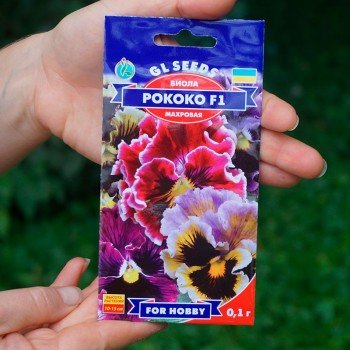 Рококо F1 семена виолы (GL Seeds)