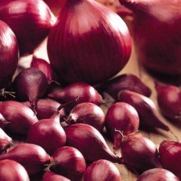 Ромі (10-21 мм) сіянка цибулі (TOP Onion Sets)