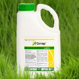 Фунгіцид Сетар - Syngenta
