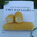 Світ Парадайз F1 насіння кукурудзи суперсолодкої Sh2 (Lark Seeds)