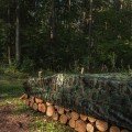 Тент тарпауліновий CAMOforest 90 гр/м² камуфляж (Bradas)