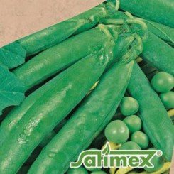Торнадо насіння гороху (Satimex)