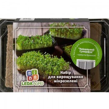 Унікальний Суперфуд набір для вирощування мікрозелених (World of Seeds)