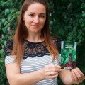 Східний аромат насіння тютюну курильного (Seedera)