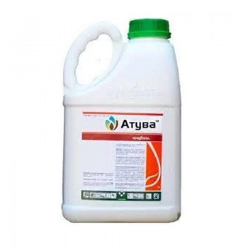 Оттува протравитель (Syngenta)