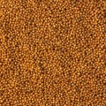 Аванте F1 семена капусты белоголовой (Lucky Seed)