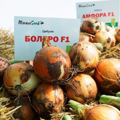 Болеро F1 насіння цибулі ріпчастої жовтої (Moravoseed)