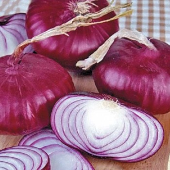 Брауншвейгские семена лука репчатого красного (Satimex СДБ)