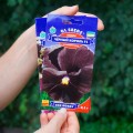 Черный король F1 семена виолы (GL Seeds)
