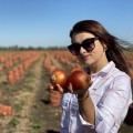 Эйфория F1 семян лука репчатого желтого (LibraSeeds)