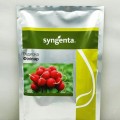 Филипарь F1 семена редиса (Syngenta)