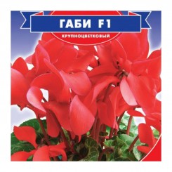 Габи F1 персидский мини семена цикламена (GL Seeds)