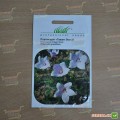 Гавайи белые (white) семена платикодона (Hem Zaden)