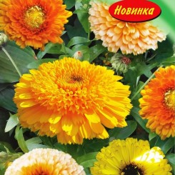 Каблуна смесь (mix) семян календулы (Гелиос)