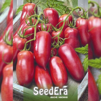 Корейский длинноплодный семена помидора индетерминантного (Seedera)
