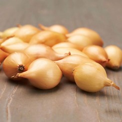 Крусадо (10-21 мм) сіянка цибулі (TOP Onion Sets)