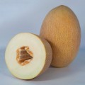 Кубус F1 (КС 6188 F1) семена дыни (Kitano Seeds)