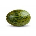 КС 775 F1 семена дыни (Kitano Seeds)