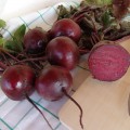 Моника семян свеклы столовой (Moravoseed)