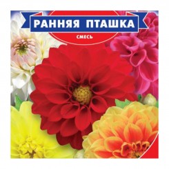 Ранняя птичка семян георгины (GL Seeds)