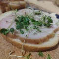 Редис семян микрозеленый (Agrocity)