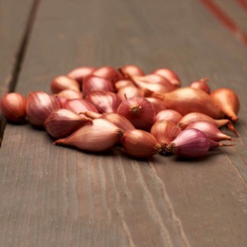 Россана (10-21 мм) сеянка лука (TOP Onion Sets Россана (10-21 мм) сеянка лука (TOP Onion Sets