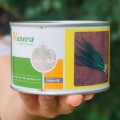 Савел семян лука на перо (Hazera)