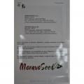 Горнет F1 (Старт F1) насіння капусти білокачанної (Moravoseed)