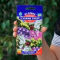 Букет (mix) семена статике (GL Seeds)